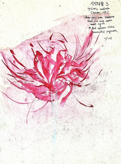  Idea Sketch inspired by spider lily